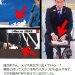鳶の羽