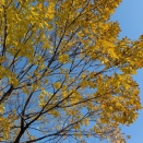 11月に読んだ本