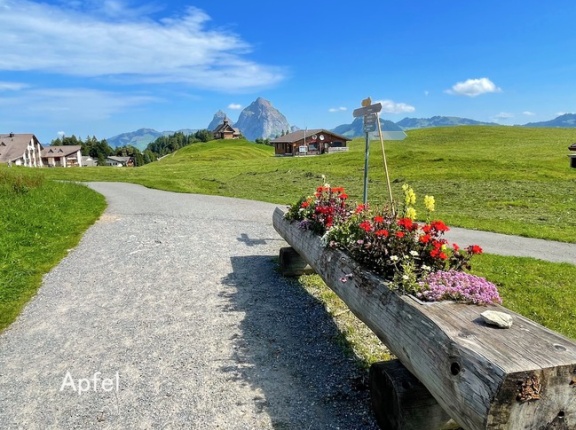 若き日の山の思い出🇨🇭