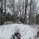 成瀬山、つくし野殿山（2026年2月8日）