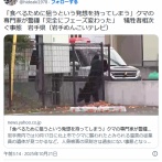 【（・(ｪ)・）】「食べるために狙うという発想を持ってしまう」クマの専門家が警鐘「完全にフェーズ変わった」　犠牲者相次ぐ事態　岩手
