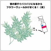 【花屋さんに聞いた！】七夕あるある🎋⭐️