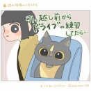 引っ越し前からドライブの練習してたら…｜３時間ドライブ