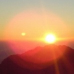 イルカちゃんの贈り物　～かんたん心理学～