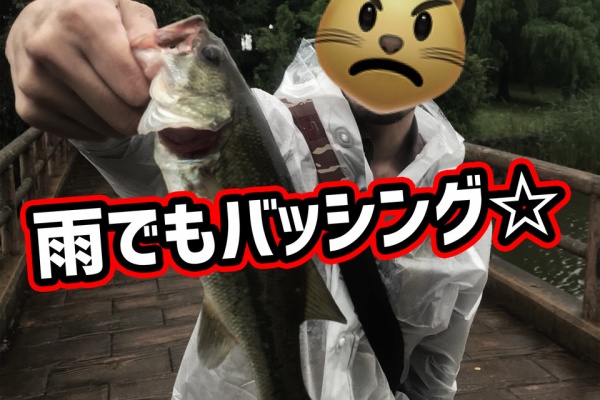 江戸川でバス釣り にやまん生活 19年07月