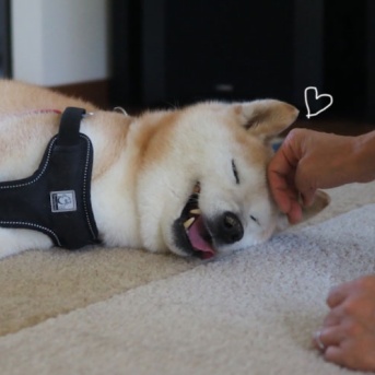 優しい手？