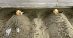  心に刻む/ 姉は初めてですと！