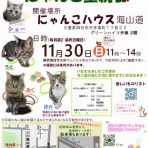 四日市にゃんこレスキュー　愛の手　里親募集・里親会情報