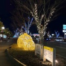 徐々にロードの感覚が蘇りつつ