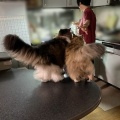テンション爆上がりのふたり