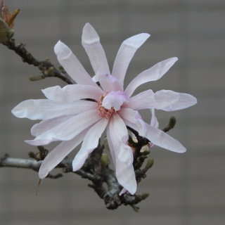 勝又壽良のワールドビュー