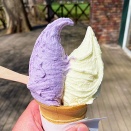 ベタなジェラートも美味いな！青森県・七戸町「手作りジェラート NAMIKI」