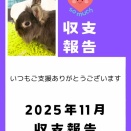 2025年11月収支報告