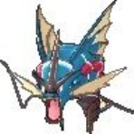 ガチ初心者がポケモン構築