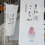 高知のんのんお散歩