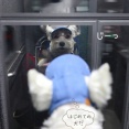 初めての帽子と、初対面の犬（？）