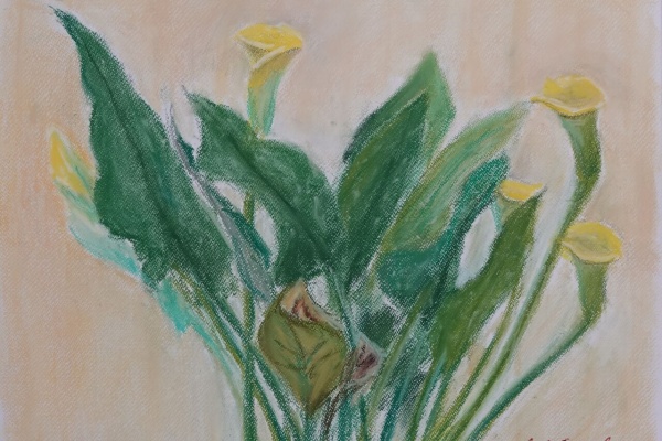 超可爱 帆足進一郎 絵日記 絵画