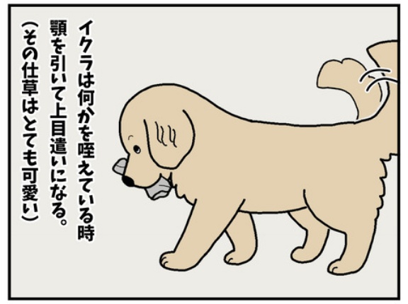 エフ漫画『叱りたくない』