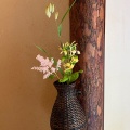 5月13日のお稽古ー平花月之式、濃茶薄茶平点前