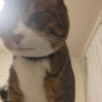 ブログあれこれ