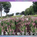 お墓参りと航空記念公園