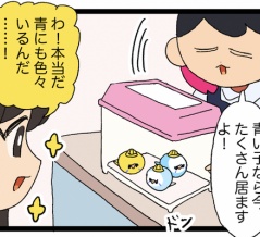 【お迎え】先代と同じ羽色の子、つい選んじゃうよね🪶