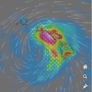 ★ララの進路が気になります〜ハワイ全土を総ナメか？