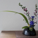 ランラン玄関の生け花N.349　坂戸整体院ランラン
