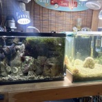 Beach Field　いいかげん日記帳Ⅲ