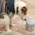 華・あず＆レン