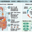 薬漬け社会が製造する逆流性食道炎 ― 消化器の自己修復機構を奪う化学的依存の全貌
