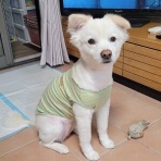 我が家のおでかけ帳