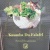 渋谷：kuumba du falafel
