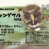 『《委託》猫の日【ニャンダフル2026】板東珈琲』の画像