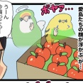スーパーでついつい愛鳥たちの顔が浮かんでしまう🦜💭💭