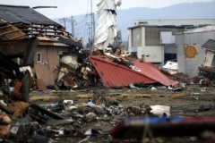 なんてことだ・・・宮城の荒廃した大地から自由の女神が見つかる