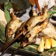 渓流の魚を食ったことある奴ちょっと来てくれｗｗｗｗｗｗ