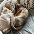 枕を縦に使うぼくちん