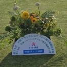 中部グランドシニア予選