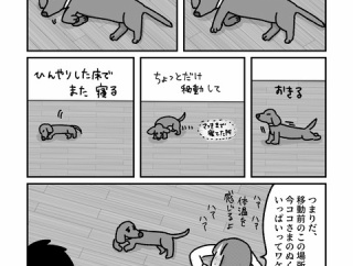 暑い日の過ごし方