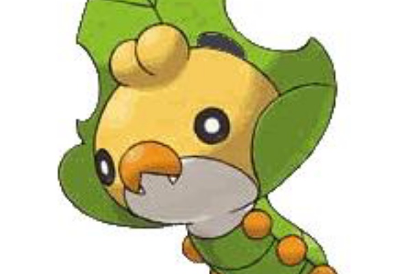 ポケットモンスター 最新情報ブログ ポケットモンスター 2