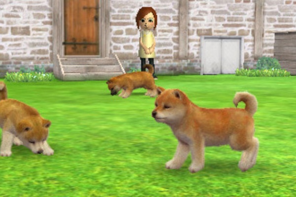 X擁護 アクティブゲーミングマトンの任記者 マリオデの犬がnintendogs流用だった ポジティブムード 速報 保管庫 Alt