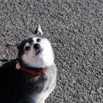 観音裏黄昏備忘録