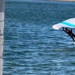 淀川大好きのウイングばか一代