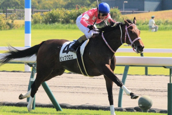 競馬ファンのこえ 和田竜二