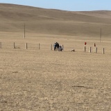 海外青年の車と制限速度。
