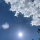 曲