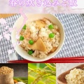 春の炊き込みご飯！「季節感」と「美味しさ」を同時に楽しめる！