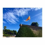 ::: Good Morning Day Night  :::