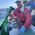 イワシの泳がせ　マハタ